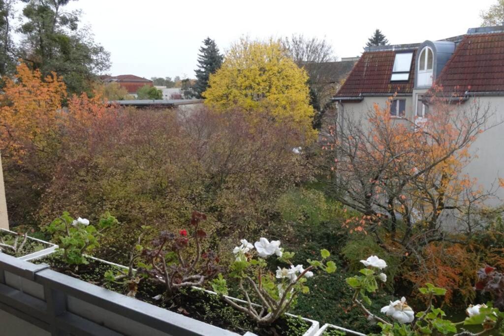 Schoene, Ruhige Wohnung In Berlin-Steglitz Ngoại thất bức ảnh